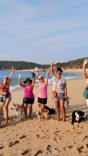 Group social walk with humans and dogs on the beach in Huatulco